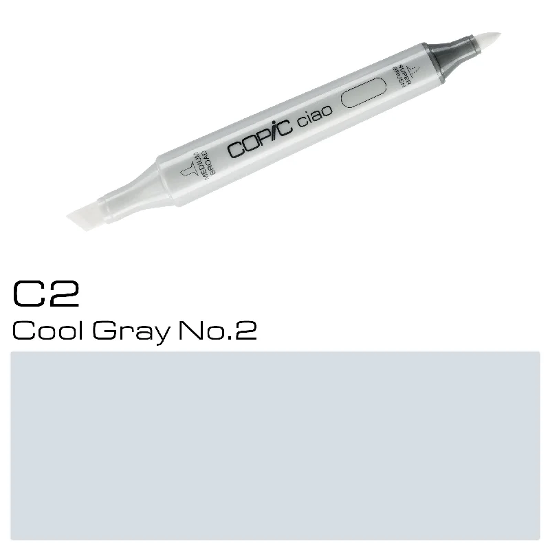 C2 Cool Gray