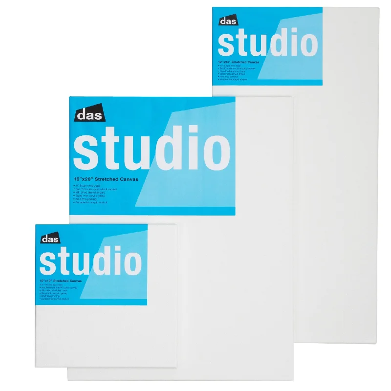 Art supplies for seniors in assisted living facilities​ Das Studio 3/4 Canvas - Box Of 30