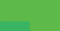 Fluorescent Green (S3)