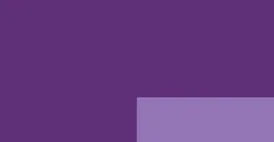 Mineral Violet (S1)