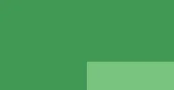 Brilliant Green (S1)