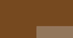 Raw Umber (S1)