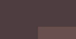 Sepia Brown (S1)