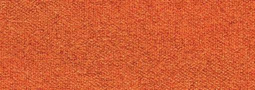 543 Burnt Orange
