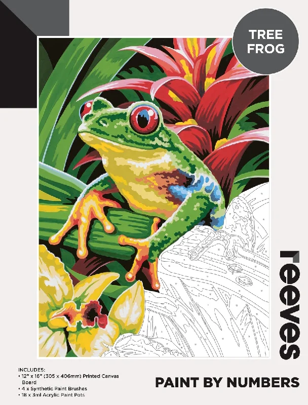 Drawing pencils with different lead hardness for detailed sketches​ Reeves Paint By Numbers 12x16 Inch Frog