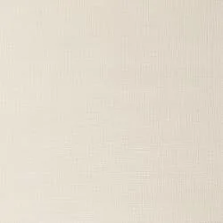 Iridescent White (S1)