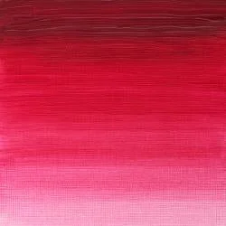 Permanent Rose (S1)