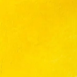 Cadmium Yellow Light Hue (S1)