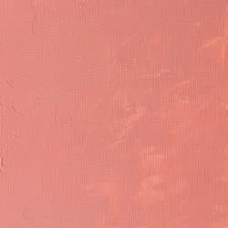 Pale Rose Blush (S1)