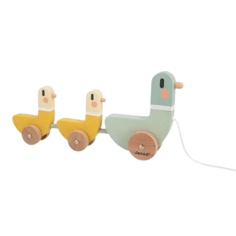 Wooden play skateboards for extreme sports play​ JANOD Sweet Cocoon Ducks to Pull