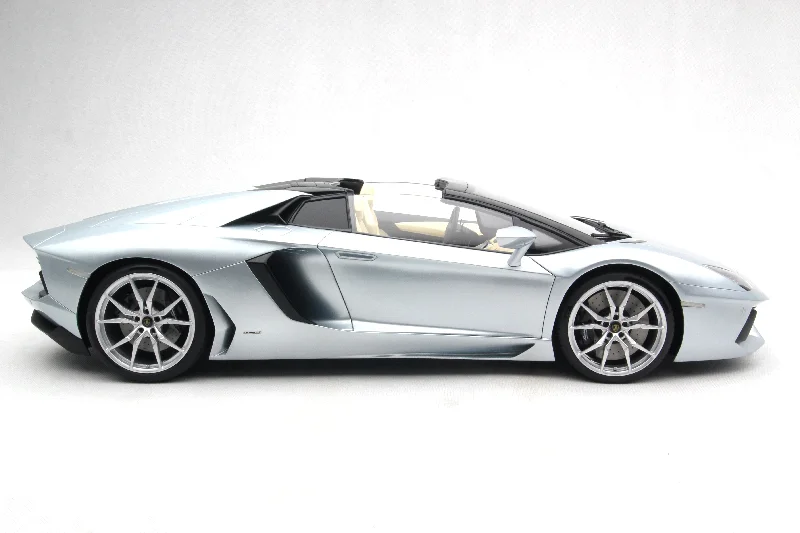 Bird - aviary model toys for bird - watching enthusiasts​ Lamborghini Aventador Roadster LP700-4 (2013)