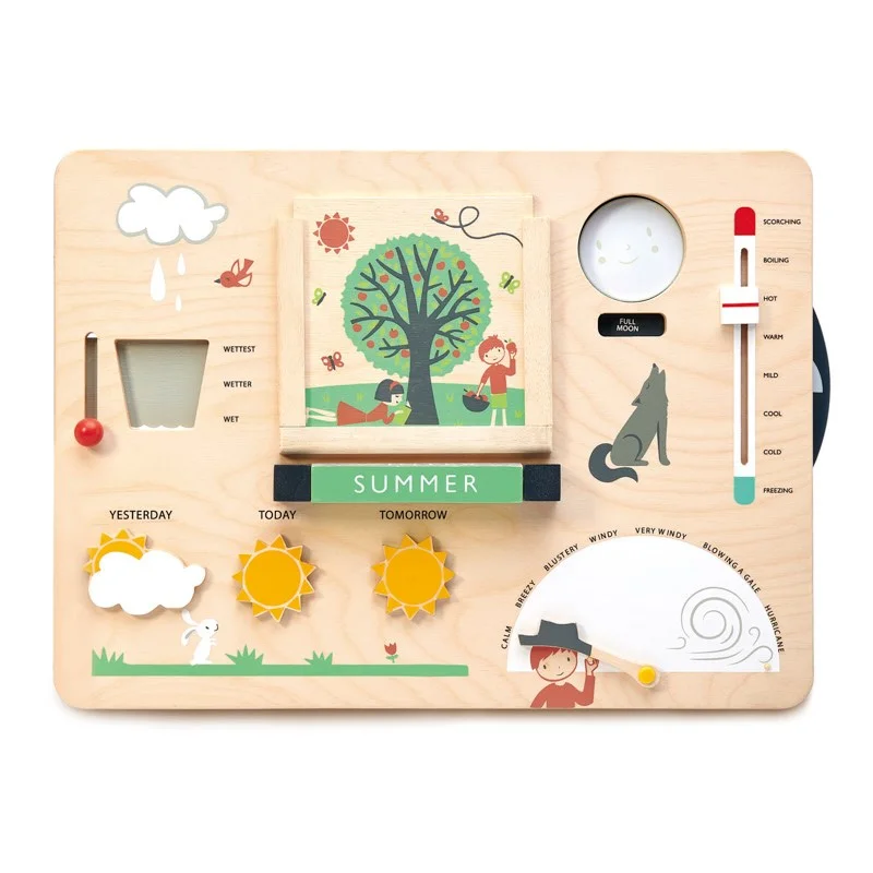 Wooden balance toys for developing balance​ Tender Leaf - Wooden Weather Station
