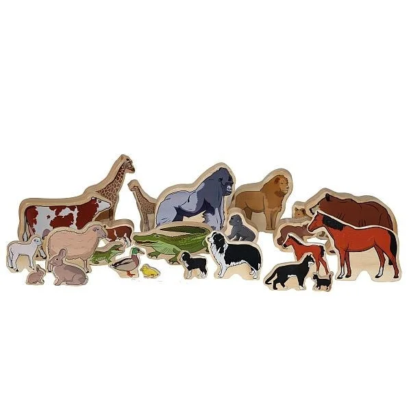 Wooden sensory toys for tactile exploration​ The Freckled Frog - Animal Families