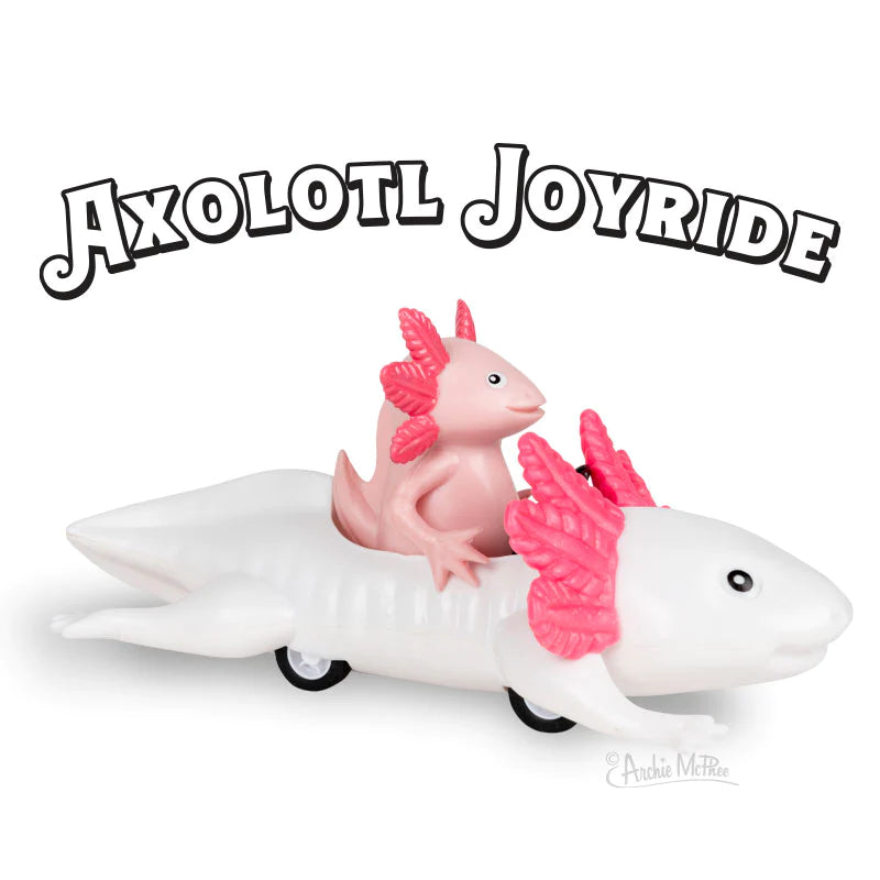 Puzzle gifts for birthday celebrations​ Axolotl Joyride