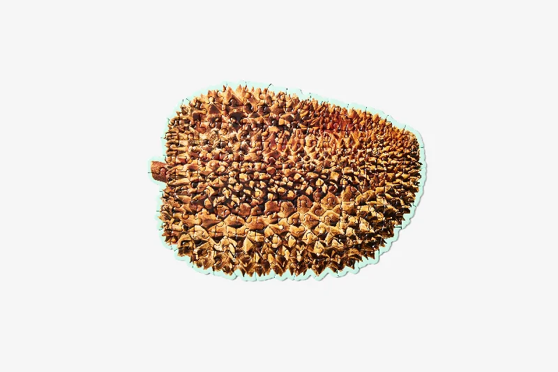 Food - shaped puzzles like pizza and ice cream​ Little Puzzle Thing™ - Durian
